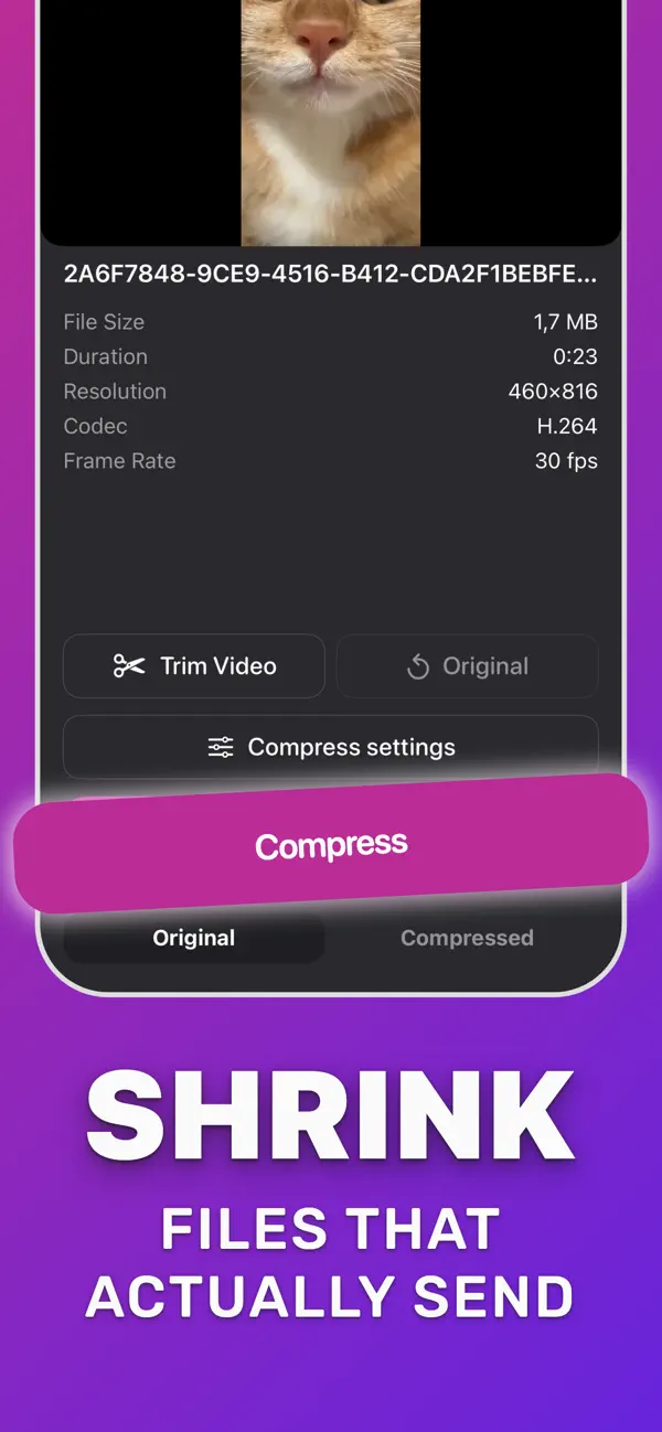 Compress Video showing file size, duration, resolution, codec and frame rate before compressing