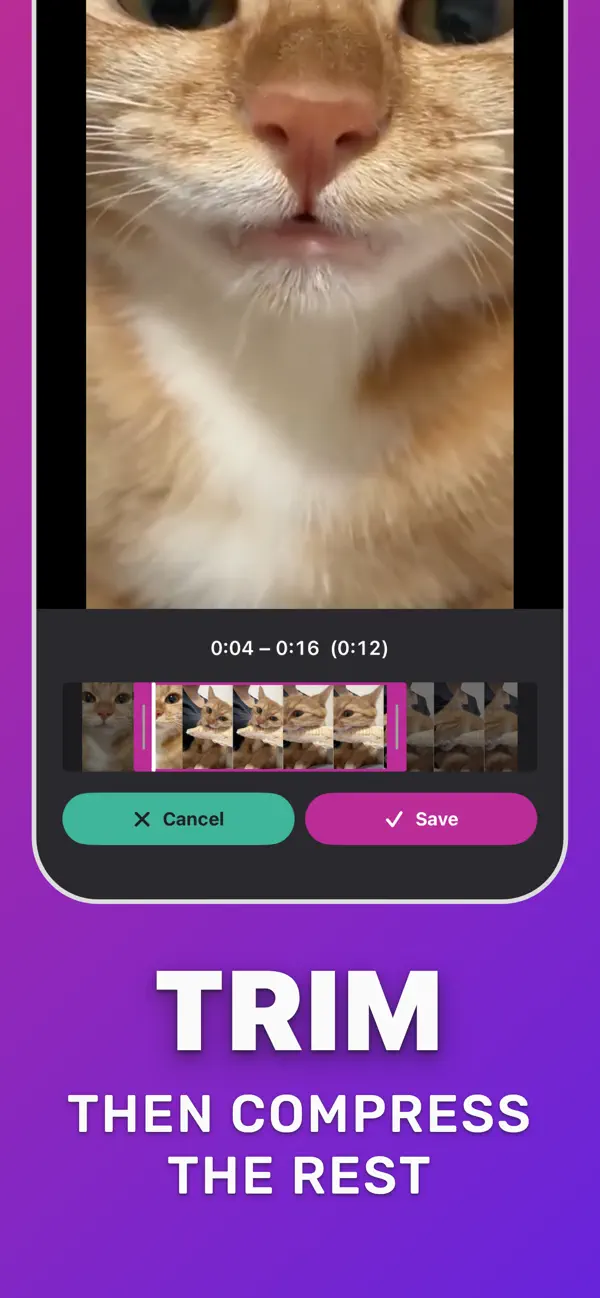 Trimming a clip in Compress Video before compressing it for Discord