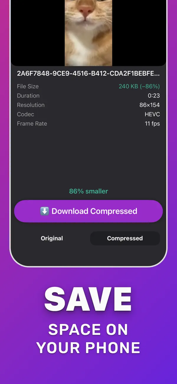 Compressed video at 240 KB, small enough to attach to an email